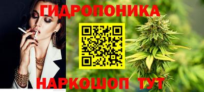 твердый Пугачёв
