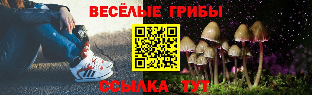 Галлюциногенные грибы Psilocybe Прокопьевск